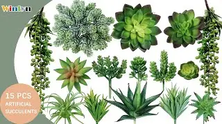 Winlyn 15 Pcs Assorted Artificial Succulents Plants