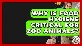 Why Is Food Hygiene Critical For Zoo Animals? - Animal Care Jobs