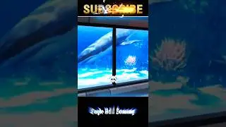 Free Fire New Map Solara Ka Full Review 💀💀 #freefire #garenafreefire #shortvideo #viralvideo