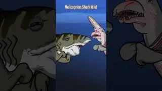 Helicoprion Shark... Not A Shark?! #shorts #animation