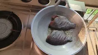 Crispy Fried Fish ASMR | Relaxing Cooking Sounds | No Talking @january_113