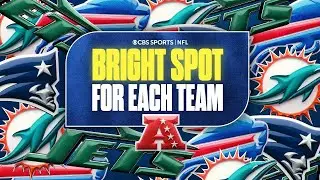 One Bright Spot for EACH AFC East Team: Jets, Bills, Dolphins, & Patriots 🌟🏈