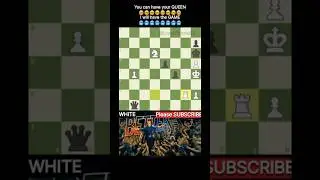 He Got a Queen&hellip; But I Still Won the Game ♟🔥 #chess #ytshorts #chessshorts #viral #shorts #strategy