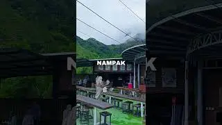 negara macam apa ini 🤣 #shortvideo #lucu #fany