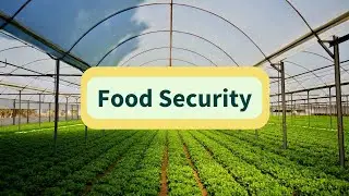 Focus on: Food Security