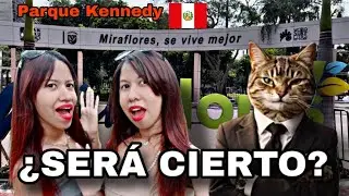 El parque donde los due&ntilde;os son gatos 😱🐱 | Parque Kennedy, Miraflores &ndash; Lima