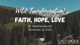 Wild Transformation: Faith, Hope, Love - Dr. Matthew Morine - November 22, 2020