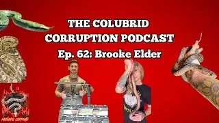Keeping Drymarchon & Cool Lizards w/ Brooke Elder | The Colubrid Corruption Podcast | Ep. 62