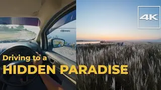Crossing the Brahmaputra to a Sea of Kohua Bon (Wild Grass)! Hidden Beauty of Assam | Baghmora Drive