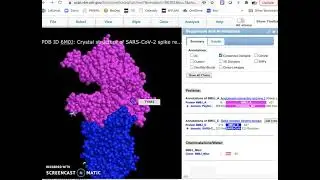 Visualizing ACE2 and SARS-CoV2 spike protein in iCn3D(NCBI) for BIOL112