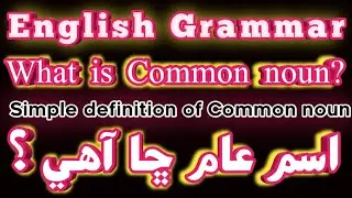 What is Common noun || With simple definition|| English grammar learn Sindh language