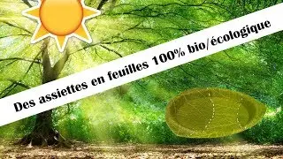 DES ASSIETTES ENTI&Egrave;REMENT FABRIQU&Eacute;ES AVEC DES FEUILLES (FORMAT FACEBOOK) - MINUTEGREEN