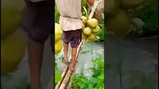 #shortvideo #shorts #shortsviral #short #shortsyoutube