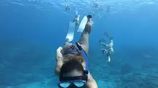 Diving Ishigaki Island, Japan | PADI x GoPro Evolution Contest Winner