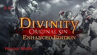 Divinity Original Sin 1 (EE) Honour Mode Walkthrough Part 41 | 4K No Commentary