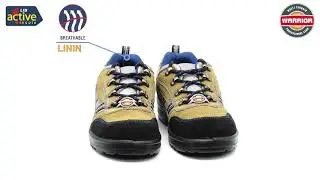Warrior 98-254 SSBA Safety Shoe for Men
