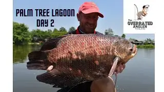 PALM TREE LAGOON PART 2. Midday feeding frenzy with Siamese, Juliens & Catla carp + Red tail action.