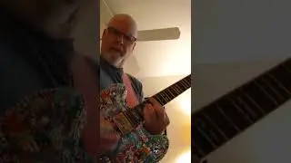 Fender 355 Medium pick Two Five Ones
