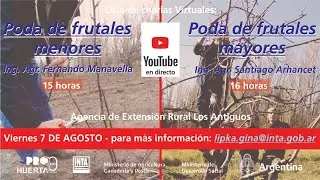 Poda de árboles frutales menores y mayores