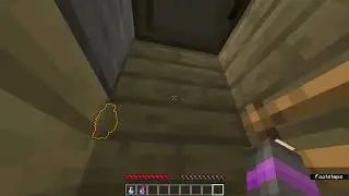 Aethel SMP Hide And Seek: Pekoville clip