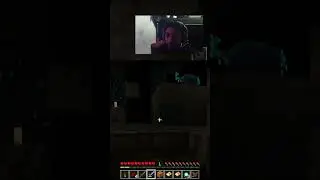 Yo los protejo 😎 #games #minecraft #fyp #viral #humor #el_barquillero #twitch #kick #streamer