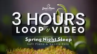 3 Hours Spring Night Sleep 🌱 Soft Piano & Gentle Rain &mdash; Deep Sleep & Relaxation Music
