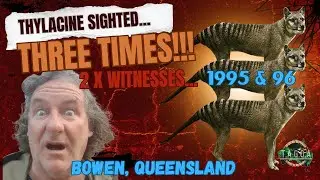 Three (3x) Thylacine sightings 1995 & 96 Bowen Queensland, with Leesa, Dog Breeder and behaviourist.
