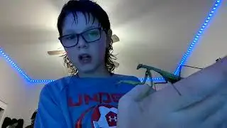how to take care of a praying mantis there are three steps this is a step-by-step video