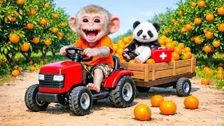 Monkey Farm Rescue Story Tractor Ride to Save a Panda!- Monkey Farm Work | PawPaw Animals TV