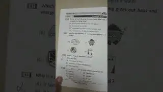 class 3 nstse paper for practice