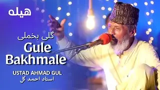 Ahmad Gul Ustad - Gule Bakhmale | Pashto Folklore |  استاد احمد ګل - ګلی بخملی