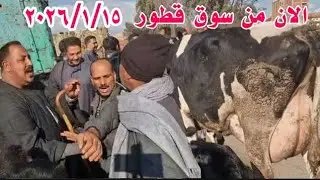 اسعار سوق قطور اليوم بتاريخ ٢٠٢٦/١/١٥