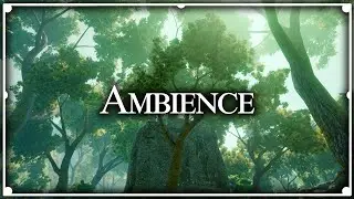 Emerald Graves | Dragon Age Ambience [1 hour, no music]