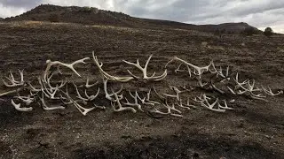 SHED HUNTING- MORE BURNT SHEDS 2018