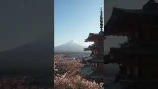 Things are about to change in Japan