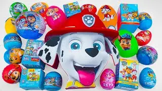 ASMR 64+ Mins Satisfying Unboxing Surprise PAW PATROL Toy Boxes & Eggs | Review Toys (No Talking)
