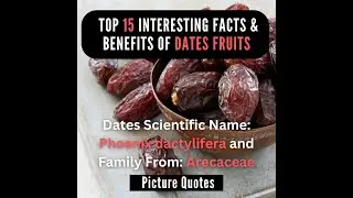 ◼Top 15 Interesting Facts and Benefits of Dates Fruit👈(Scientific: Phoenix dactylifera)🌴Dates Fruit💪