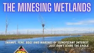 The Minesing Wetlands......A day canoe trip in an interesting environment.