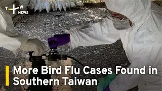 More H5N1 Bird Flu Cases Detected in Southern Taiwan | TaiwanPlus News