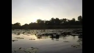 Bud Fisher Fishing Show