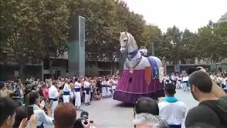 Cavall dels Nebot de Riudoms - Congrés Internacional de Gegants i Imatgeria Festiva  (15/10/2017)