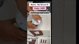 Asian Paints Apex Shyne | Nut Brown - N (Code 0419) | Interior & Exterior Wall Colour Shade