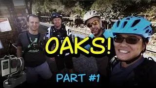 Blasting through The Oaks Trail | Blue Mountains MTB | Part #1