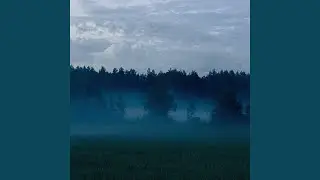 i tried to forget