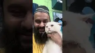 Small Animal/ Pet Nutritionist Vet Dr. Sagir: For Appointment: call or WhatsApp 01912251312 PetVet24