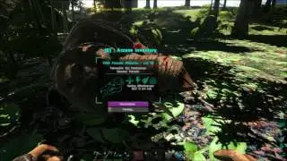 How to feed a dino Narcoberries - Ark Survival Evolved