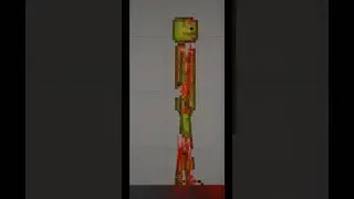 watermelon evolution