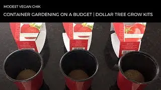 Beginner Container Gardening on a Budget | Dollar Tree Buzzy Grow Kits