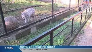 Austin Zoo reopens Friday