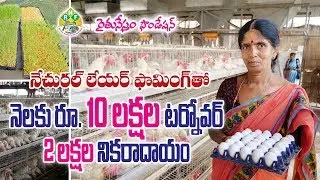 Organic Layer poultry Farm || Monthly 10 lakhs turnover, net income 2 lakhs per month